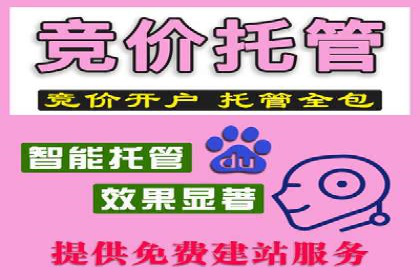 成功案例解析：百度推广代理商助力企业增长